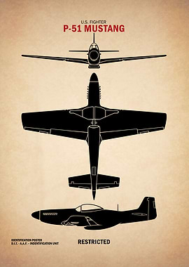 P51 Mustang Identification