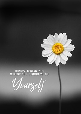 Beauty Begins Quote Decor