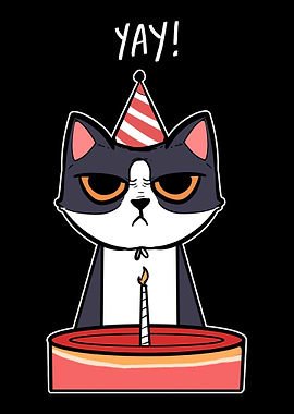 Yay Mad Birthday Celebrant