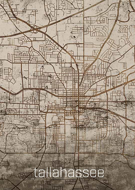 Tallahassee Rusty Street M