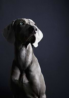 Black Lambrador Portrait