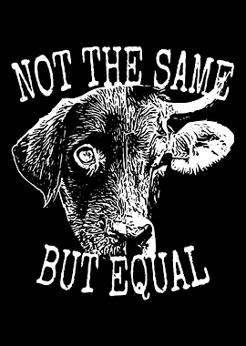 Not The Same But Equal