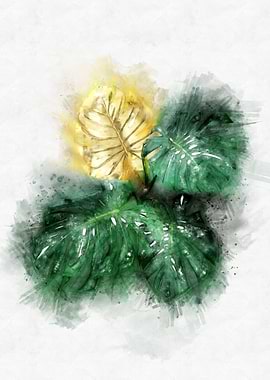 Monstera leaves