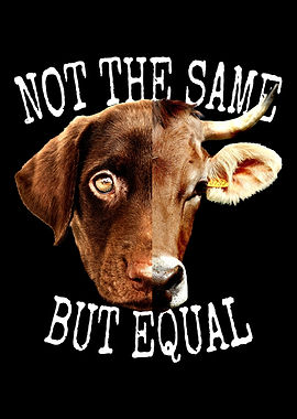 Not The Same But Equal