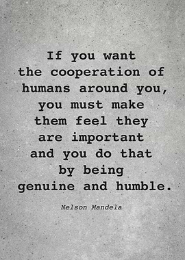 Nelson Mandela Quote L011