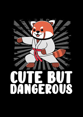 Sweet red karate panda