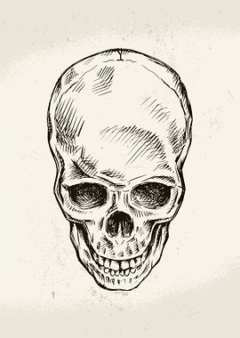 Hand Drawn Skull