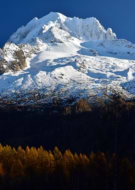 First snow Aiguille Verte