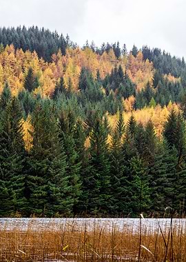 On the way to Callander 2