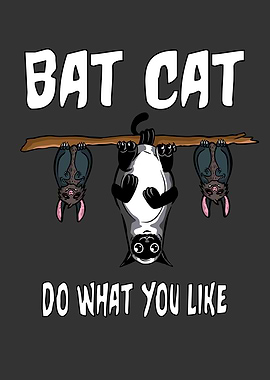 Bat Cat