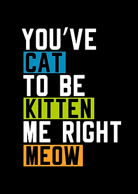 Youve Cat To Be Kitten Me