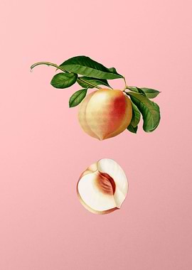 Vintage Peach Fruit Food