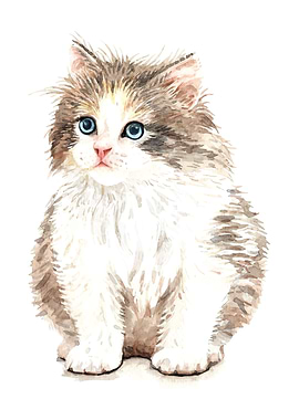 Cat Watercolor