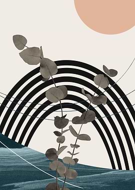 Eucalyptus Rainbow Oasis 2