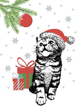 Kitten cat with santa hat