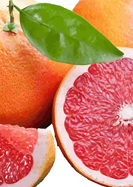 Grapefruit