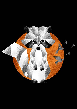 Raccoon Origami
