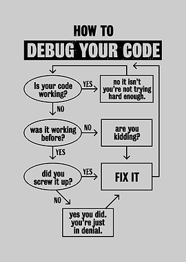 Programming Debug Code