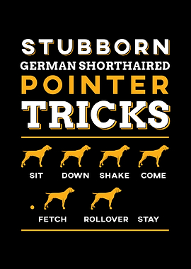 German Shorthair Pointer