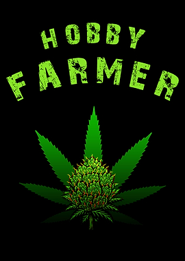 Cannabis Weed Marihuana