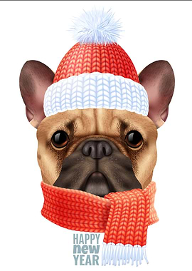 Pug Dog Christmas Gift
