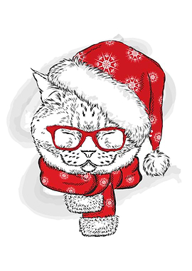 Happy christmas Cats