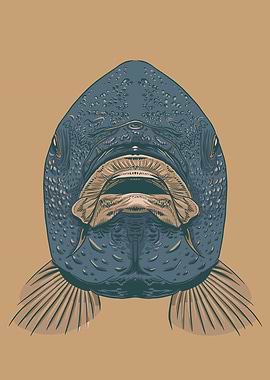 Carp Mouth Fish Face