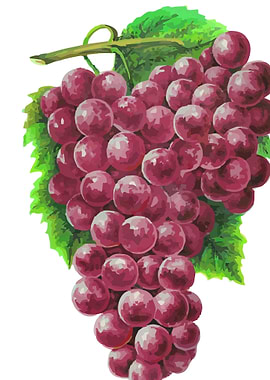 Grapes
