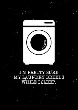 My Laundry Wall Art