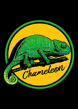 Colorful Chameleon