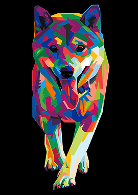 colorful shiba inu dog