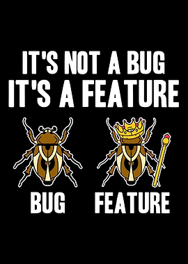 Programmer Web Developer