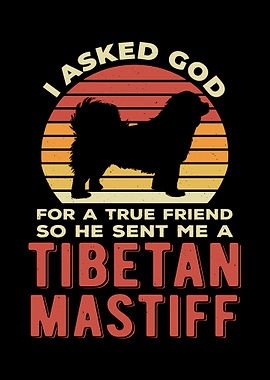 Funny Tibetan Mastiff