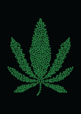 Marijuana leaf weed leaves