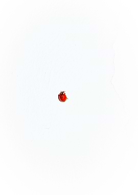 Ladybug Point On Canvas