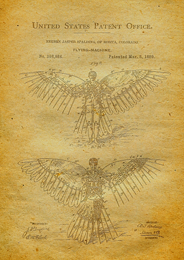 45 Wing Flying Machine Pa