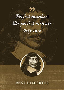 Perfect numbers like