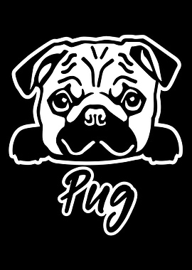 Pug