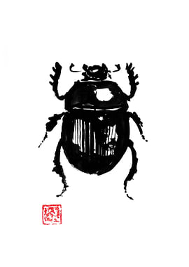beetle
