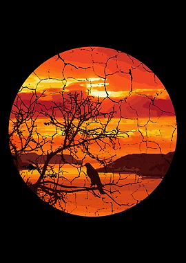 Bird Tree Sunset Sunset Pe