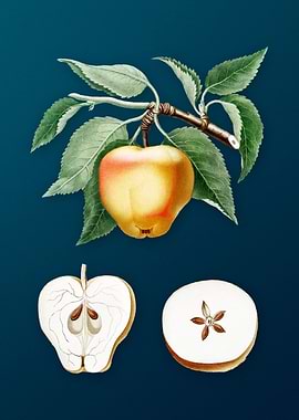 Vintage Carla Apple Fruits