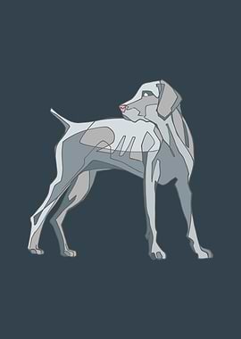 Weimaraner dogillustration