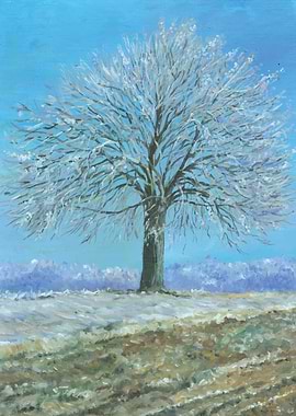 Tree and first hoarfrost