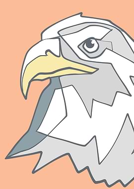 Eagle head illustration