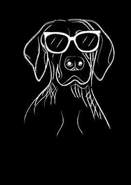 German Shorthair Pointer