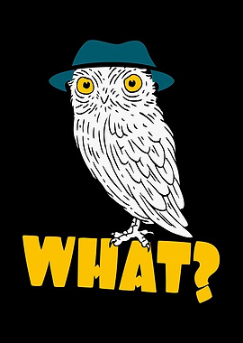 Funny Owl With Hat Hipster