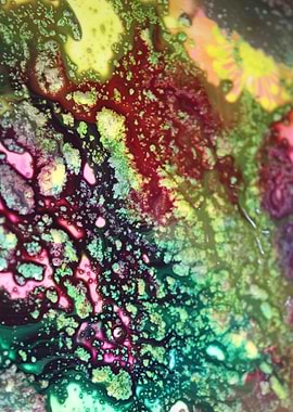 The Secret Pearl on reef