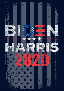 BIDEN HARRIS 2020 VINTAGE