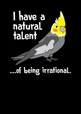 COCKATIEL Birds Funny