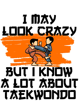 a lot about taekwondo